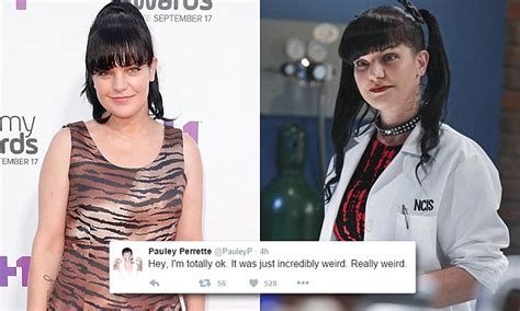 Ncis Pauley Perrette Claims Second Encounter With A Homeless Man