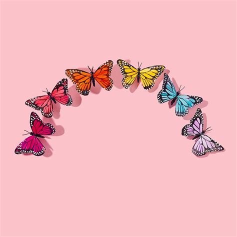 Vanguard plastic surgery surgeon aesthetic plastic surgery, butterfly aestheticism, brush footed butterfly, insects png. Butterfly Rainbow | Butterfly wallpaper iphone, Butterfly ...