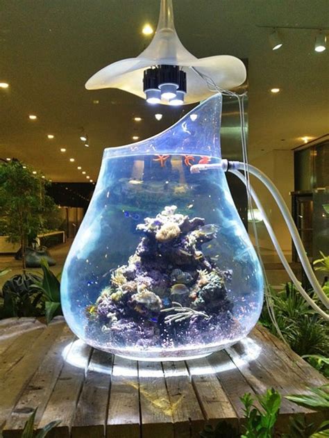 48 Amazing Fish Tanks Cool Fish Tanks Amazing Aquariums Unique