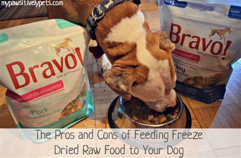 You won't need to handle raw meat or worry about nutritional balance. The Pros and Cons of Feeding a Freeze Dried Raw Diet to ...