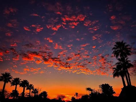 Phoenix Sunset Sunset Favorite Places Outdoor