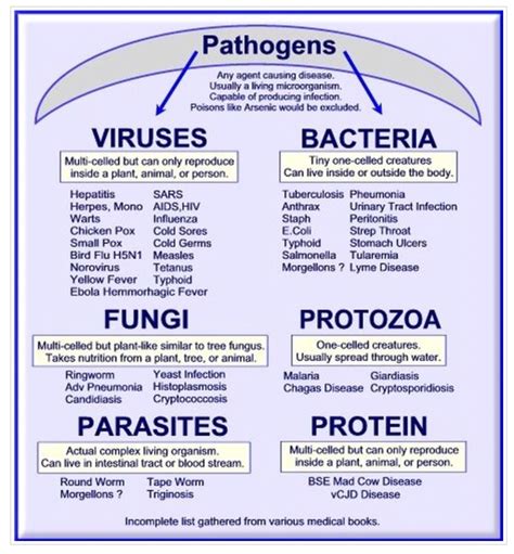 Types Of Pathogens Nursing School Studying Nursing School Notes