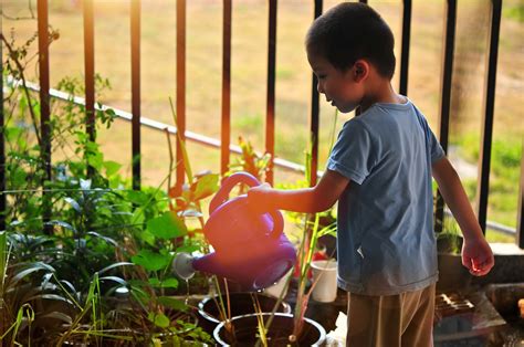 Luis es cultivador de cactus, las plantas 'suculentas' y junto a javi artetxe nos cuenta los secretos de su cuidado y las variedades más curiosas de este. Acercar a los niños a los cuidados del jardín y las plantas.