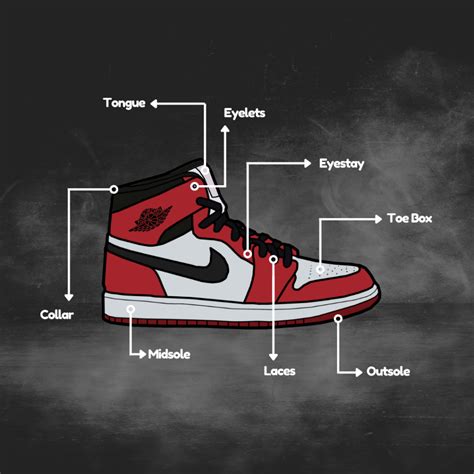 Ini Dia 8 Bagian Bagian Sneakers Yang Wajib Kamu Ketahui Hubstler