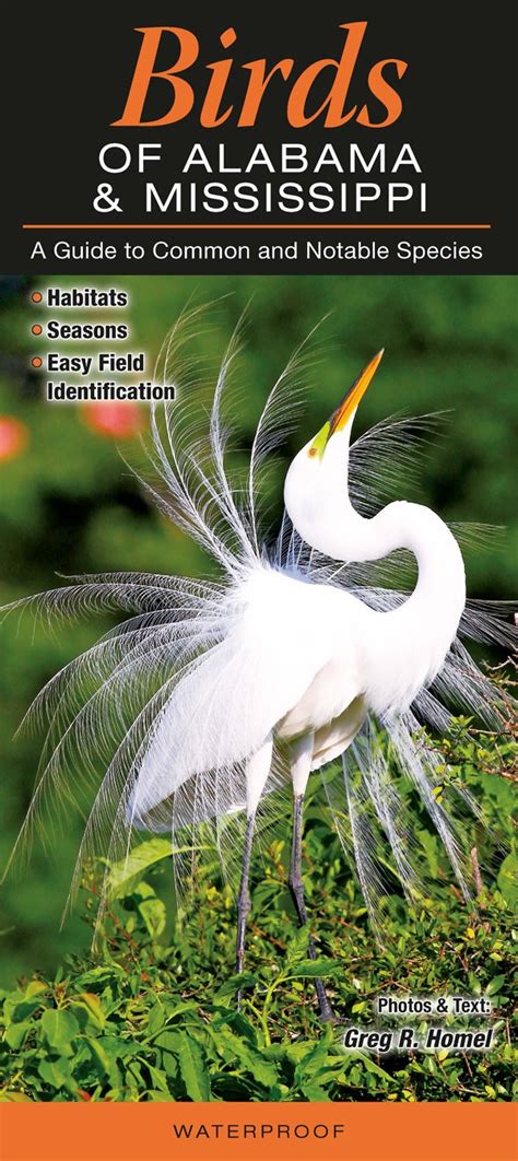 Birds Of Alabama And Mississippi A Guide To Common And Notable Species