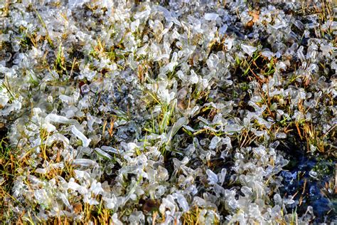 The Outlaw Gardener: Frozen Flower World Part One