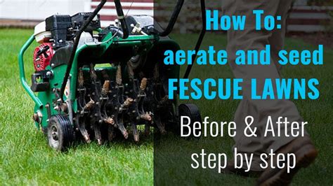 How To Aeration And Overseed Fescue Lawns Youtube