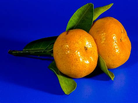 Orange Mandarin Fruit Citrus · Free Photo On Pixabay