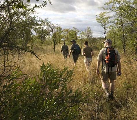 Great Limpopo Transfrontier Park Top Activities To Enjoy Greater