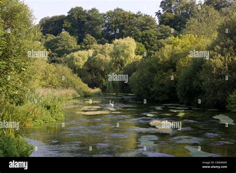 Hampshire River Itchen Stock Photo Alamy