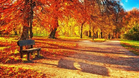 Download Wallpaper 2560x1440 Bench Autumn Park Foliage