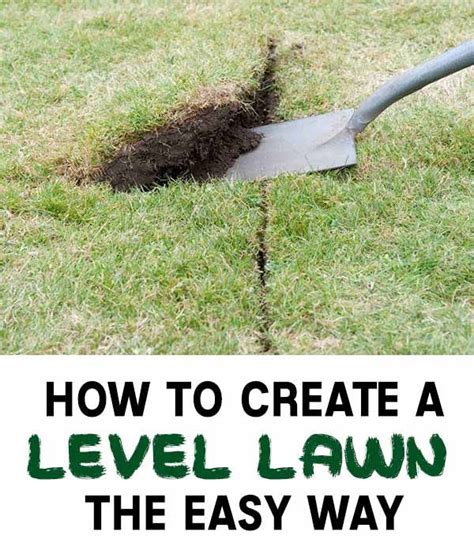 Two professional methods to level uneven lawns or gardens. How to Create a Level Lawn The EASY Way - Home Garden DIY | Diy lawn, Lawn, Lawn leveling