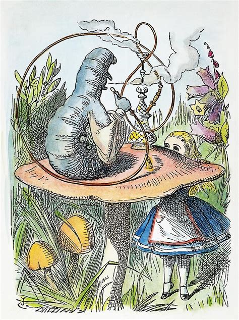 Alice In Wonderland 1865 Nadvice From A Caterpillar Illustration By