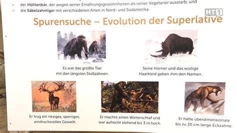 Die durchschnittliche eiszeit beträgt 100 000 jahre, während die warmzeit nur 10 bis 30 000. 56 HQ Photos Wann Ist Die Nächste Eiszeit - Schneider ...