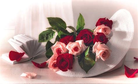 Romantic Love Flowers Wallpapers Top Những Hình Ảnh Đẹp