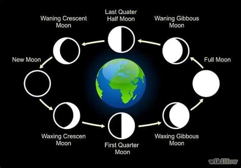 8 Lunar Phases From New Moon To Full Moon To New Moon Physics In My
