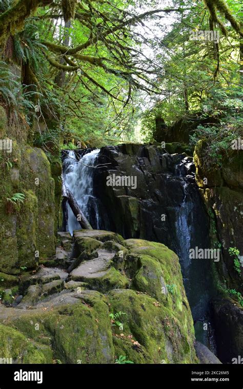 Sweet Creek Falls Waterfall Along Hiking Trail Complex Near Mapleton
