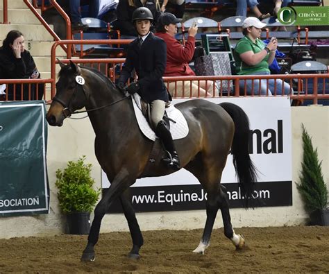 Two Ends Of The Riding Spectrum Compete At Ihsa Nationals The