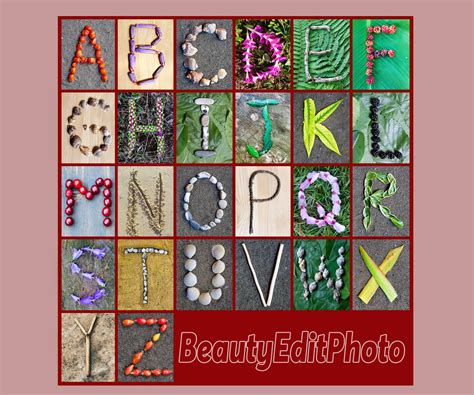 Letters In Nature Classroom Alphabet Nature Alphabet Letter Etsy