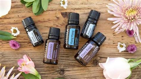 Doterra Essential Oils For Dogs Anxiety Dr Janet Roark On Essentia