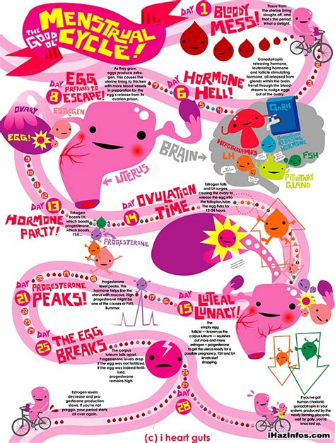 17 best images about menarche celebrate on pinterest menstrual cycle remedies for menstrual