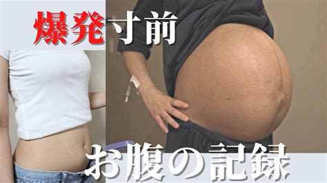 【pregnancy Transformation】双子妊娠初期から産後のお腹の記録 ｜妊娠タイムラプス Youtube