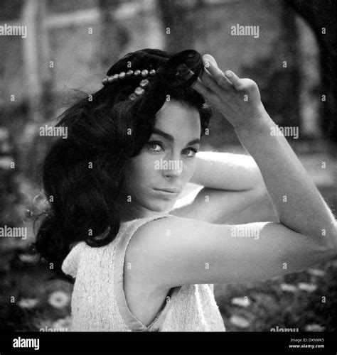 Shirley anne field Black and White Stock Photos & Images - Alamy