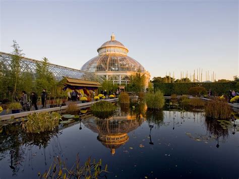 The new york botanical garden dates to 1891 and sprawls across 250 acres. Fall colors 2019: Where to see fall foliage in New York ...