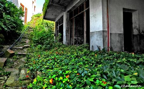 An Abandoned Fishing Village On Gouqi Island China Amusing Planet