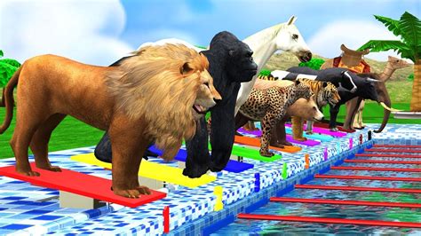 Counting Numbers Zoo Animals Swimming Race Fun Play Video