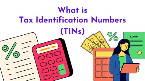 What Is Tax Identification Numbers Tins A Comprehensive Guide