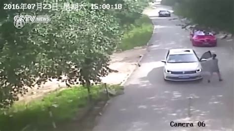 Shocking Tiger Attacks And Killed A Women In Beijing S Wildlife Park Youtube