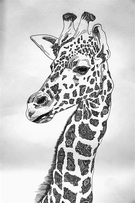 TwΛllΛЯt Giraffe Art Animal Drawings Pencil Drawings Of Animals