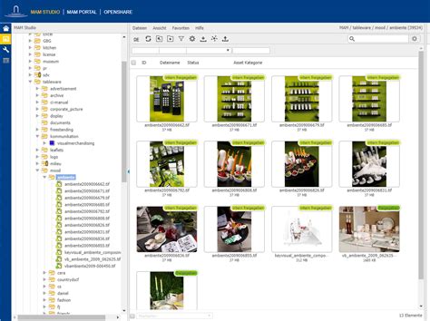 Digital asset is building the platform, developer tools and leveraging the best modern infrastructure providers to change how businesses interact. Digital Asset Management, Villeroy Boch