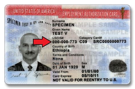 Residence cards that are issued from january 2021 won't contain the word alien. Where Do I Find My Alien Registration Number - FileRight