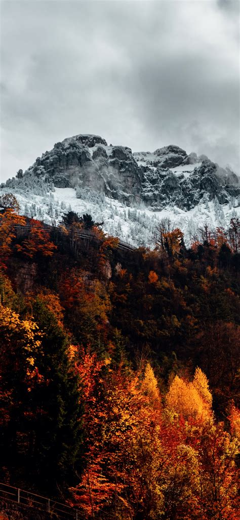 Alps Wallpaper 4k Autumn Mountains Forest Wilderness