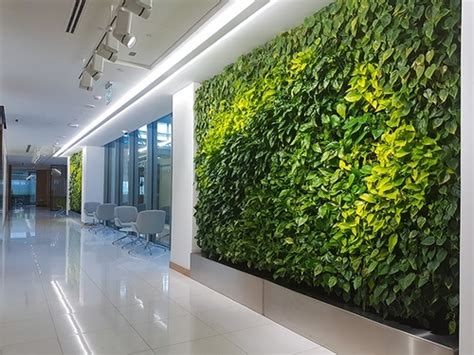 Landscaping Green Walls For Pinsent Mason Planters Uae