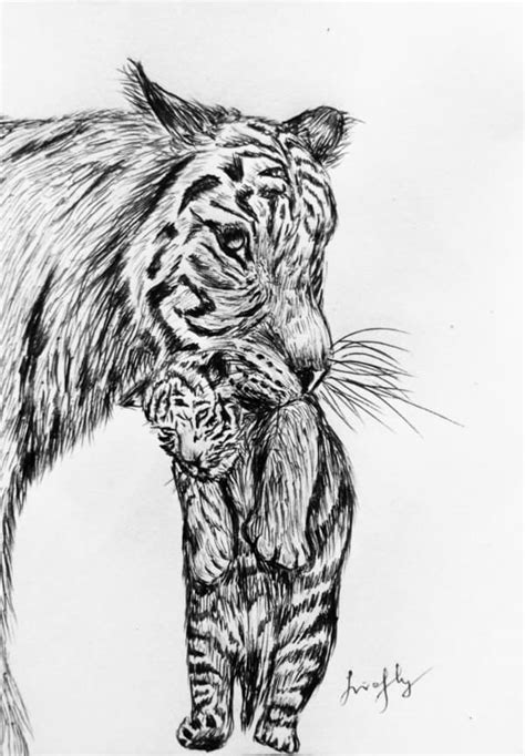 How To Draw Animals 60 Easy Pencil Drawings Of Animals
