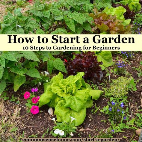 How To Start A Garden 10 Steps To Gardening For Beginners