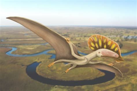 Fossilized Remains Of A Bizarre Pterosaur Discovered In The Uk For The First Time