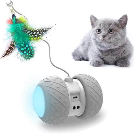 The 11 Best Electronic Cat Toys For Kitties Who Love To Chase