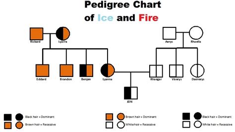 Visual paradigm's online pedigree chart software makes has all the pedigree chart symbols and connectors you need to create professional pedigree chart. EVERYTHING Pedigree chart of why Jon's hair is black ...