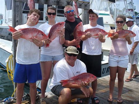 Gallery Sure Lure Charters