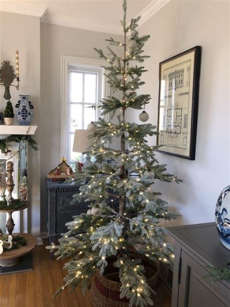 Fir trees are one of more than 45 species of evergreen trees. Frosted Alpine Balsam Fir™ Tree | Thin christmas tree ...