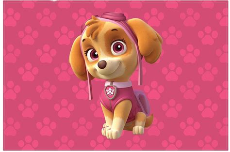 Skye Paw Patrol Wallpapers Top Free Skye Paw Patrol Backgrounds