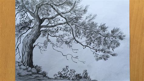 Tree Drawing In Pencil Draw And Shade A Tree Step By Step Pencil