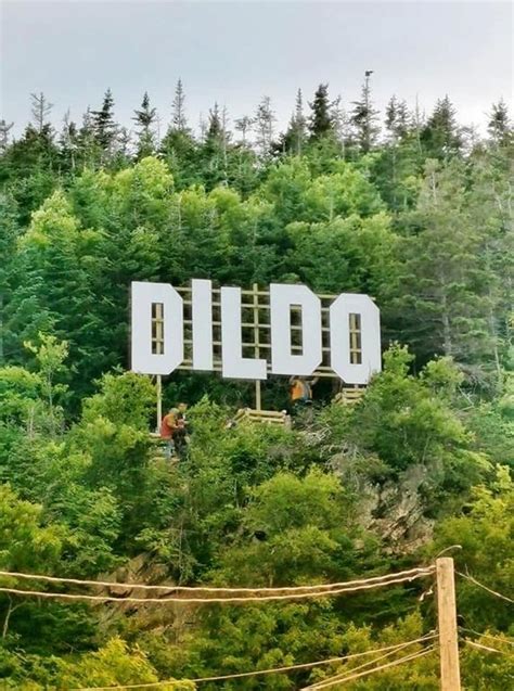 Dildo Nl Warns Against Trespassing In Excitement Over Hollywood