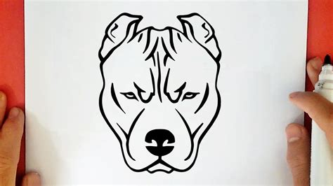 Como Dibujar Un Perro Pitbull Realista Paso A Paso Como Dibujar