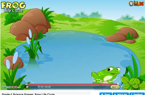 Cecilias English Corner Frog Life Cycle Lesson Learn