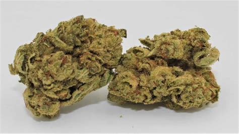 Gorilla Glue 4 Smalls 26 Thc Oz Cali Xpress California Weed